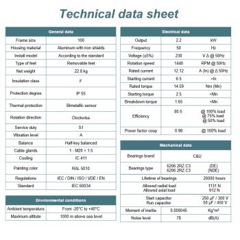 Silnik elektryczny jednofazowy 2,2kW 1400 obr/min. 100B3